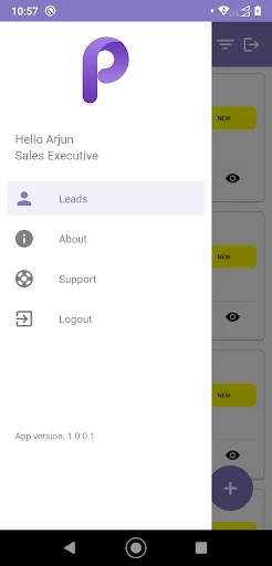ProLeads: Gestiona tus Leads y Aumenta tus Ventas de Forma Eficiente - Screenshot 9