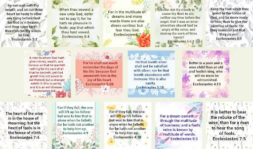 Descarga Bible Ecclesiastes – Versículos Bíblicos Gratis - Screenshot 18