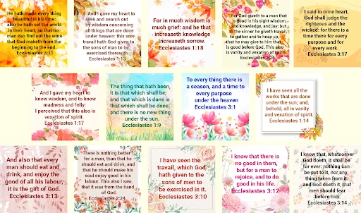 Descarga Bible Ecclesiastes – Versículos Bíblicos Gratis - Screenshot 17